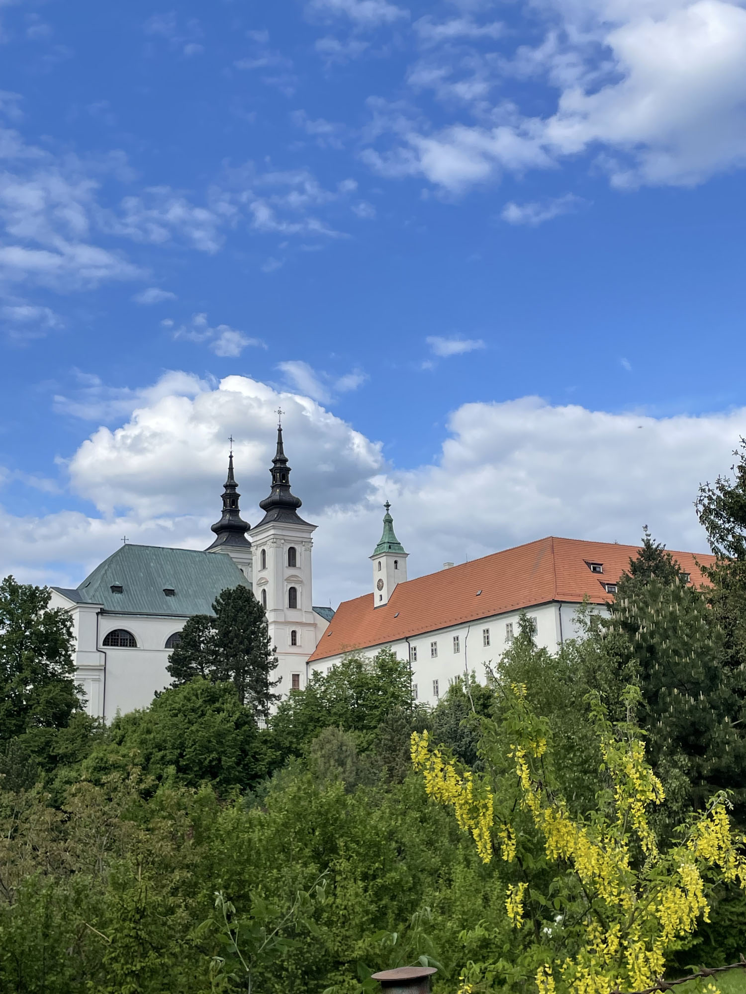 galerie1/OGYAvSB5aGAJFSi5VAI4v3kH6fq88KAJXHmd3u2H.jpg
